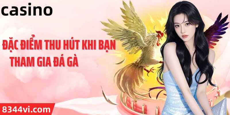 Hình ảnh quảng cáo của tt6 hiển thị nền tảng và các lợi ích