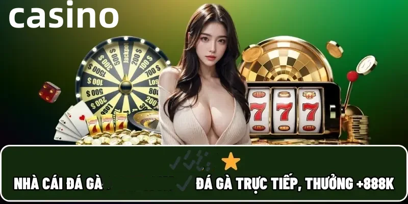 Hình ảnh quảng cáo của tt6 hiển thị nền tảng và các lợi ích
