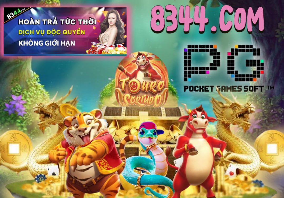 Hình ảnh quảng cáo của tt6 hiển thị nền tảng và các lợi ích