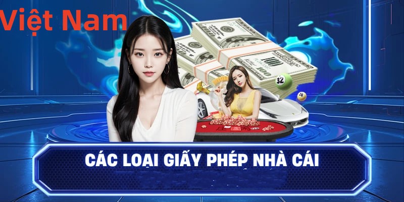 Hình ảnh quảng cáo của tt6 hiển thị nền tảng và các lợi ích