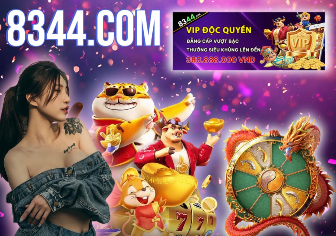 Hình ảnh quảng cáo của tt6 hiển thị nền tảng và các lợi ích