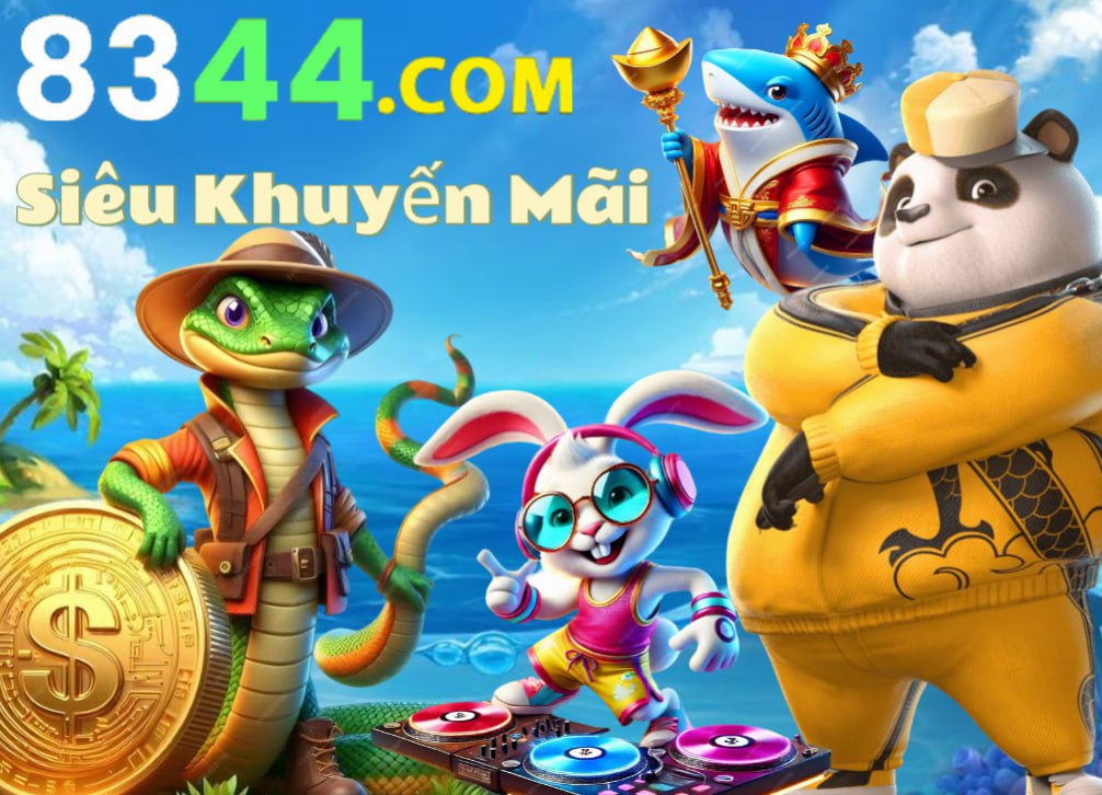 Hình ảnh quảng cáo của tt6 hiển thị nền tảng và các lợi ích