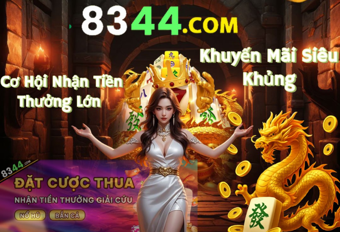 Hình ảnh quảng cáo của tt6 hiển thị nền tảng và các lợi ích