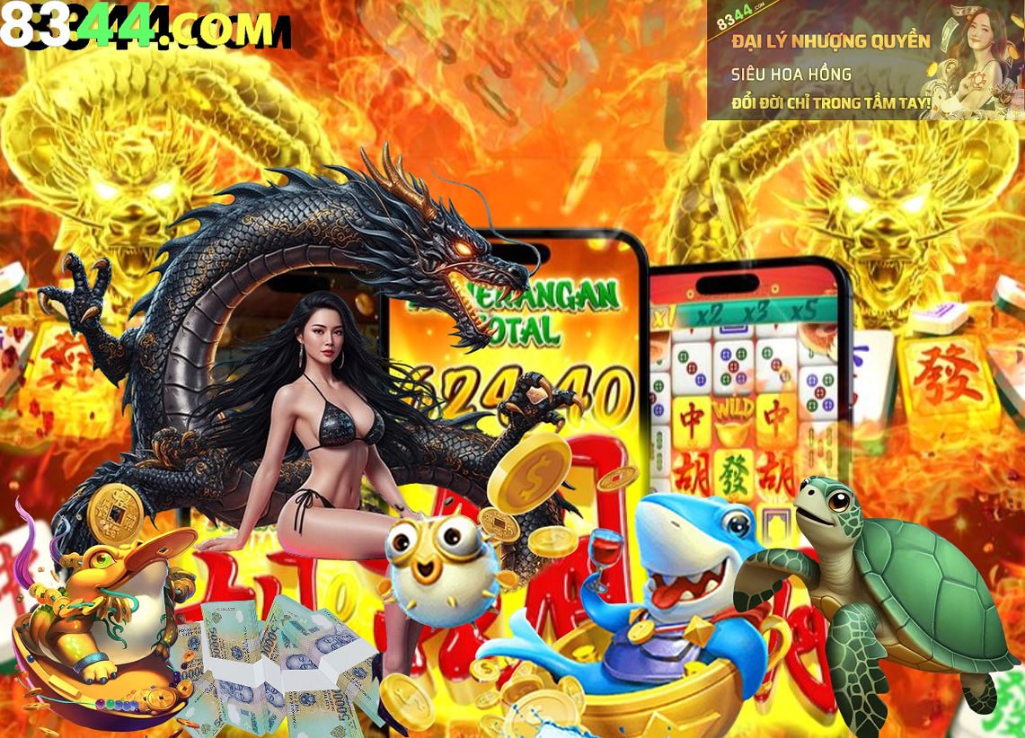 Hình ảnh quảng cáo của tt6 hiển thị nền tảng và các lợi ích