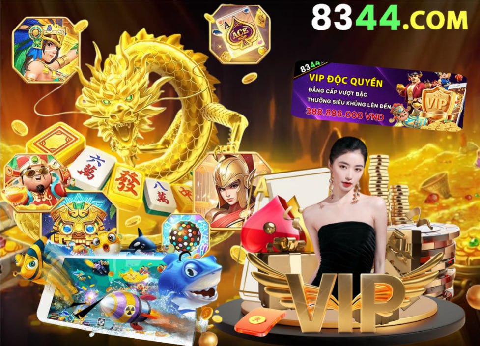 Hình ảnh quảng cáo của tt6 hiển thị nền tảng và các lợi ích